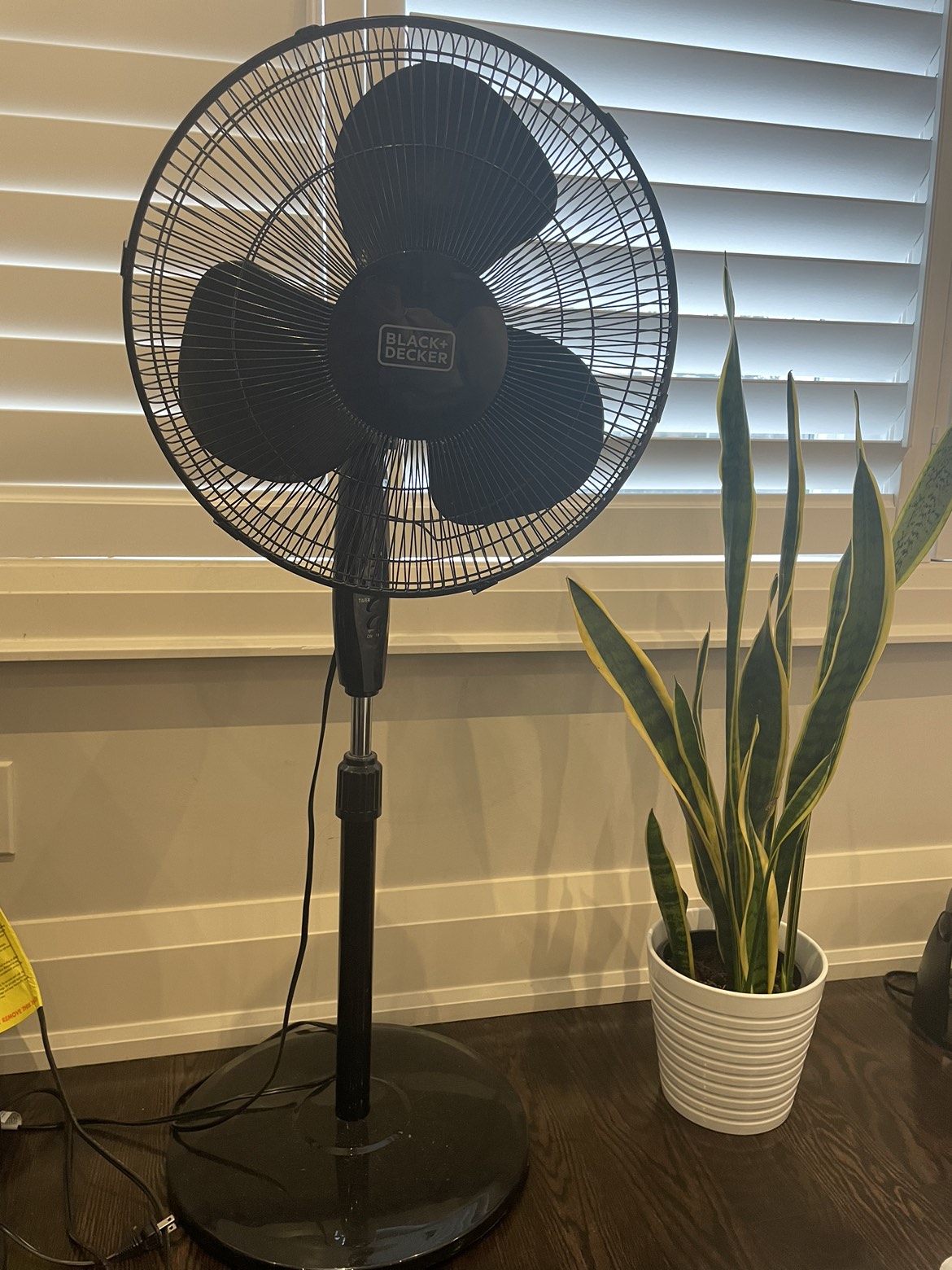 Fan