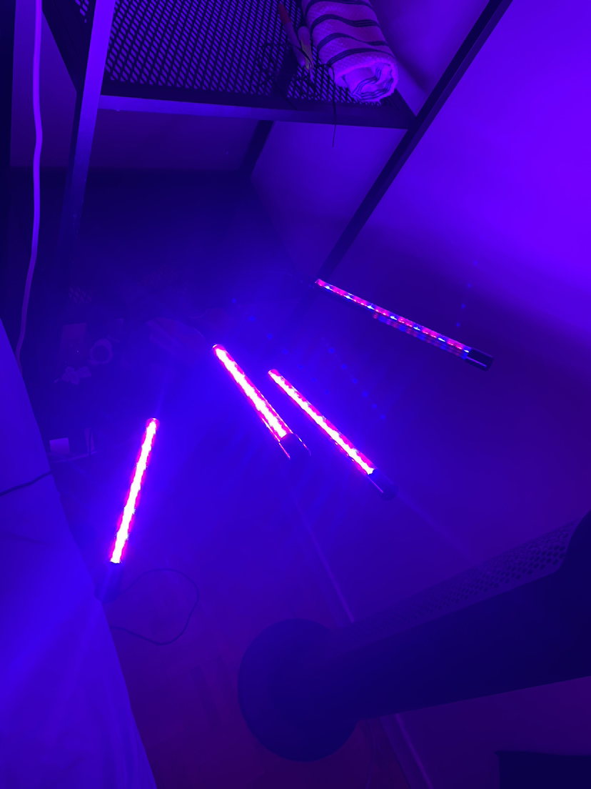 Glow light plant