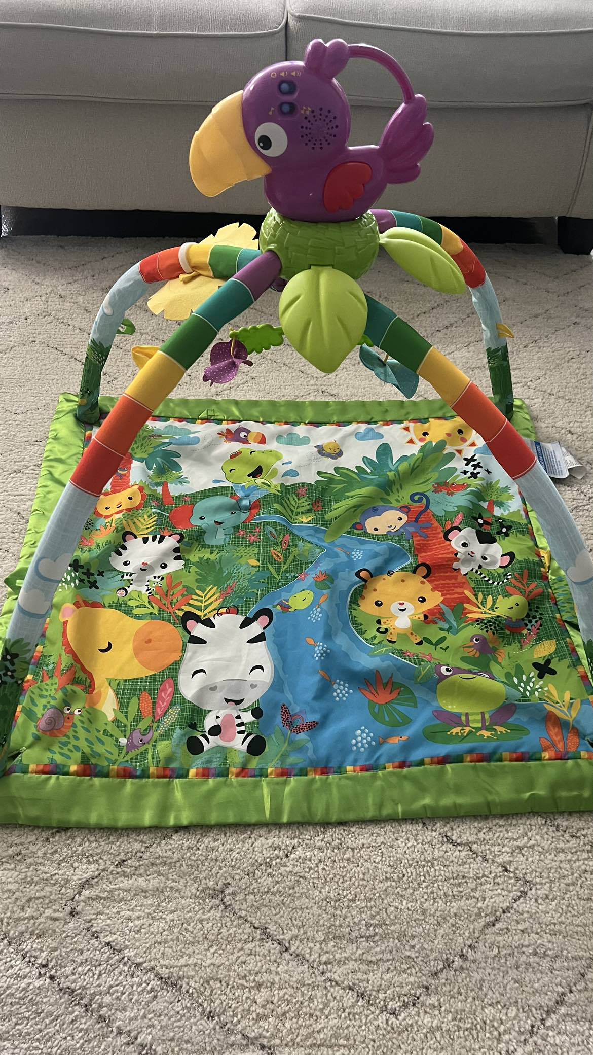 Fisher-Price Rainforest (With Music and Lights)