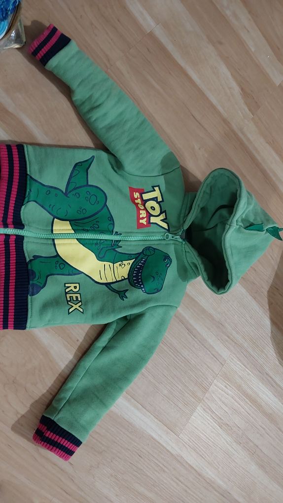 Like new ❄️ 2-3yrs toy story rexy dino winter jacket image indicator(2)