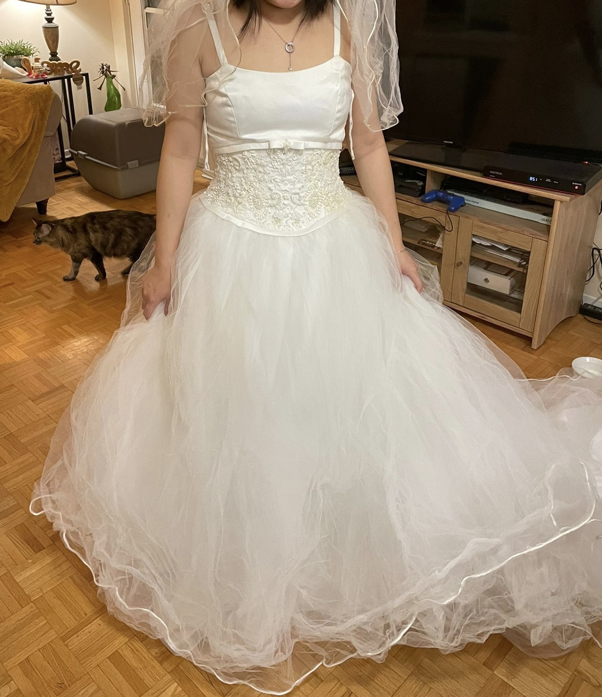 Wedding dress image indicator(2)