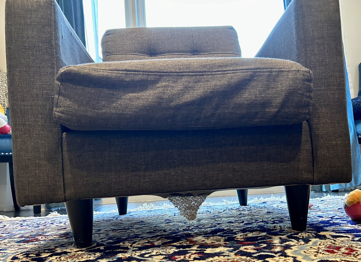 Couch & chair - photo 3
