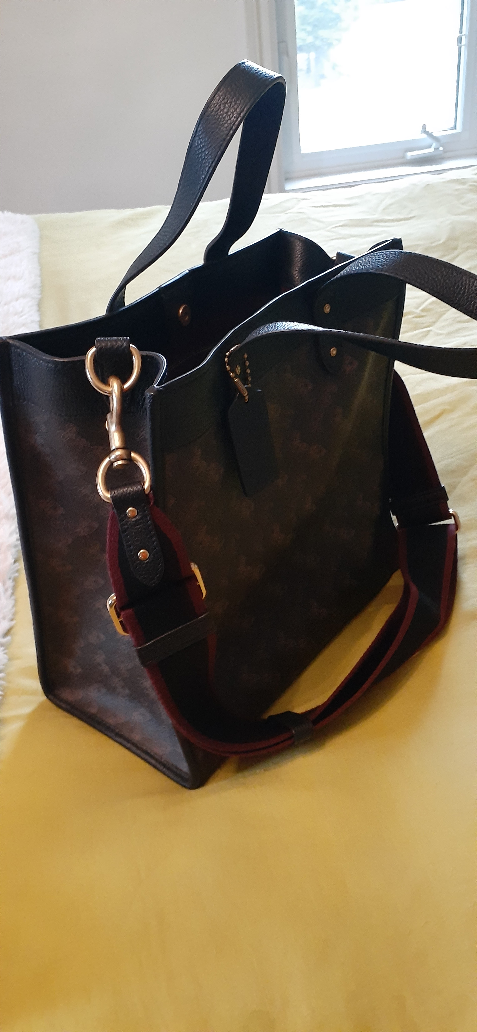 coach bag original image indicator(2)