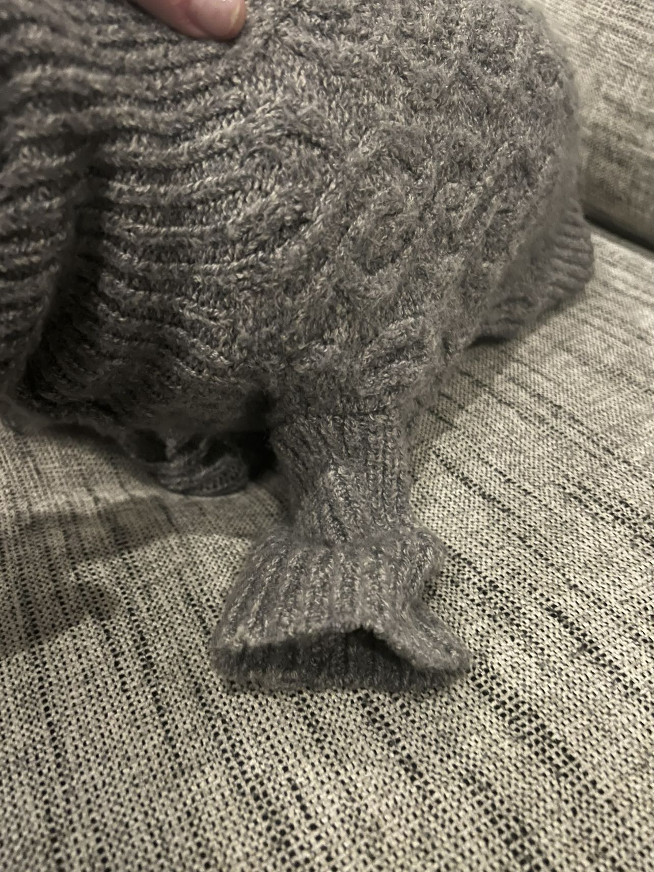 Dog sweater image indicator(2)