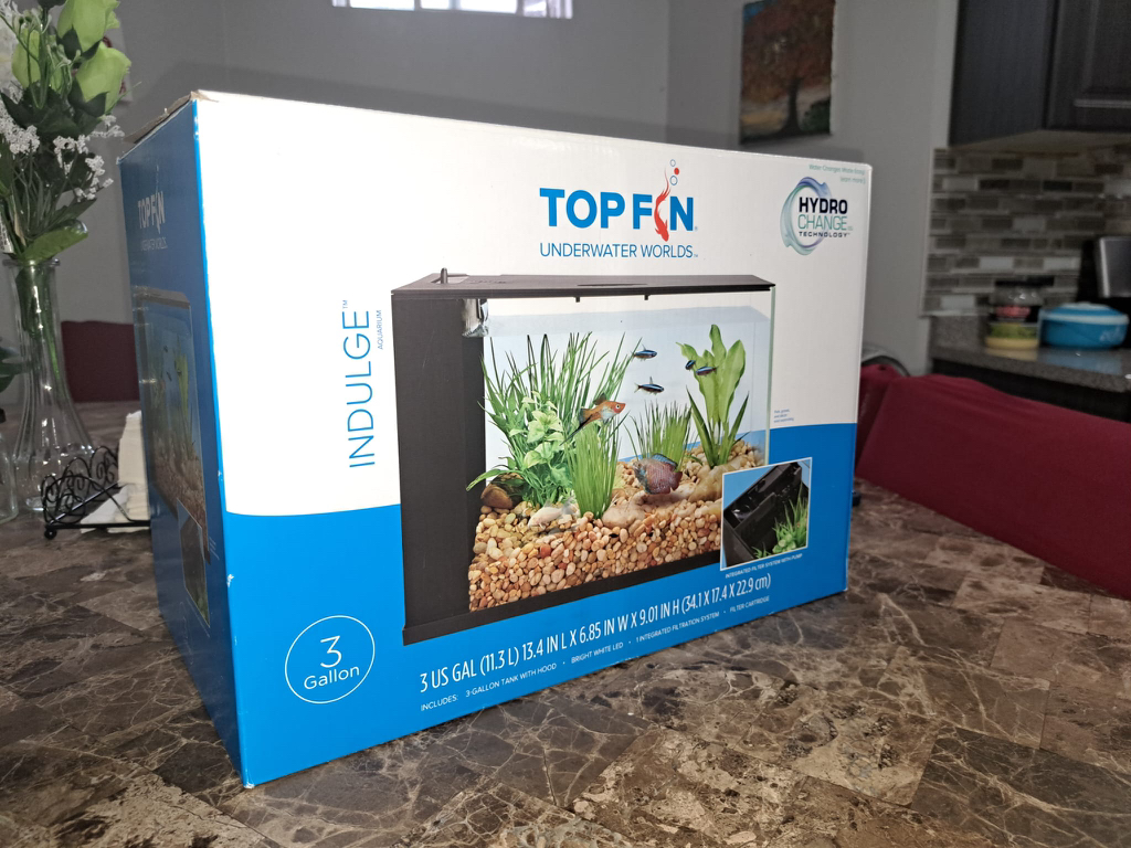 Fish Aquarium