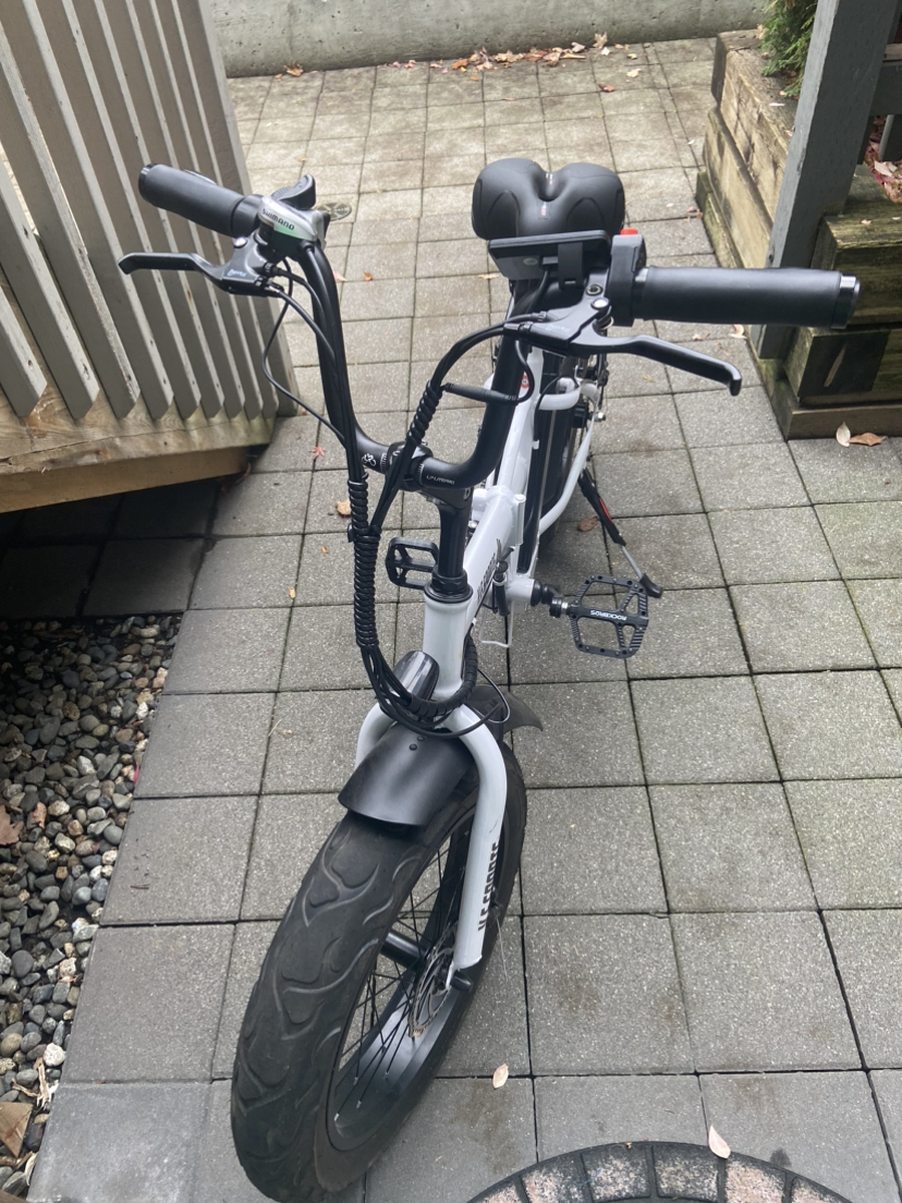 Ebike - photo 2