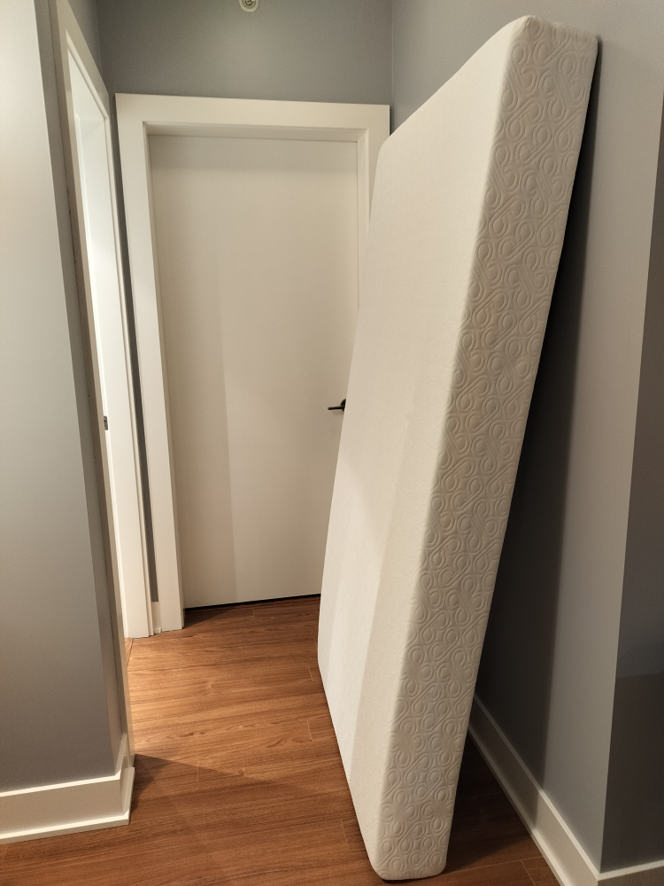 Bloom River Foam Mattress - Twin size (FREE)