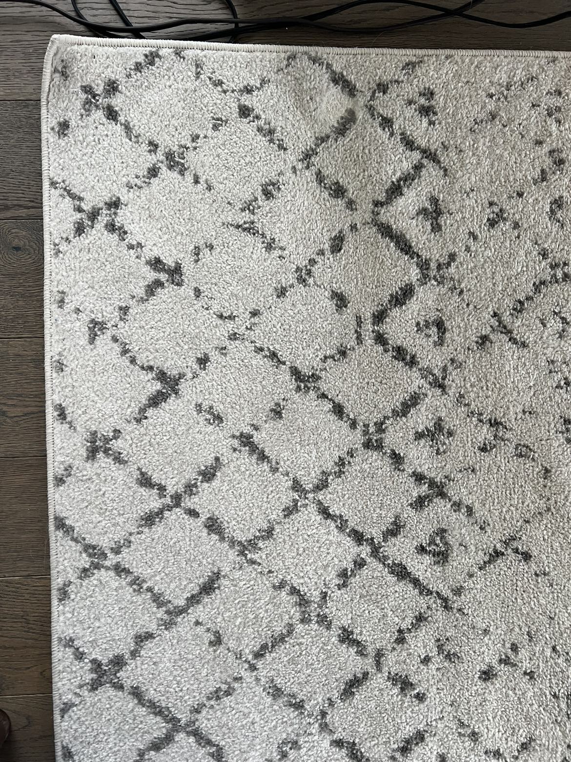 Grey Moroccan Trellis 8' x 10' Area Rug - photo 3