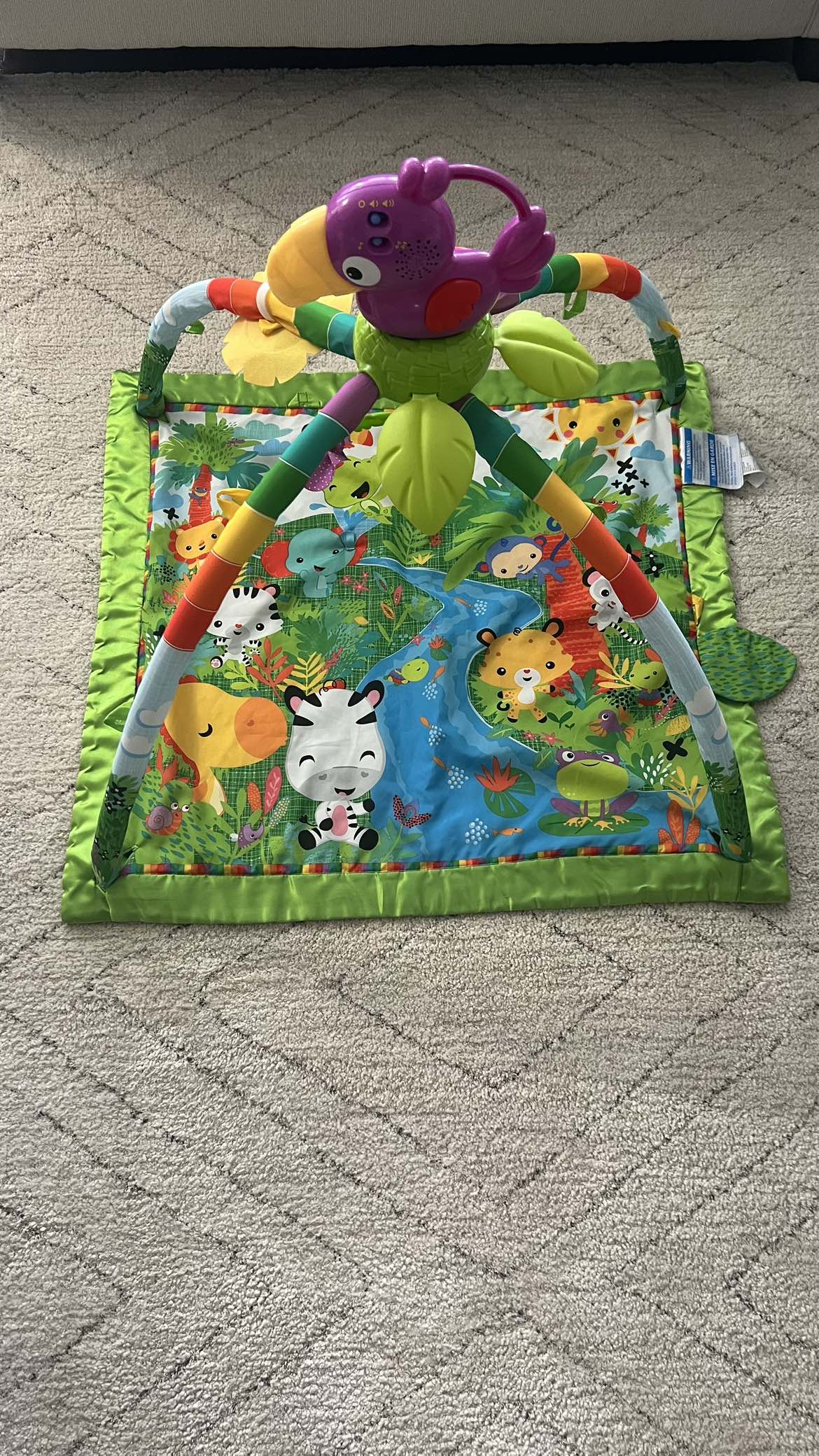 Fisher-Price Rainforest (With Music and Lights) - photo 2