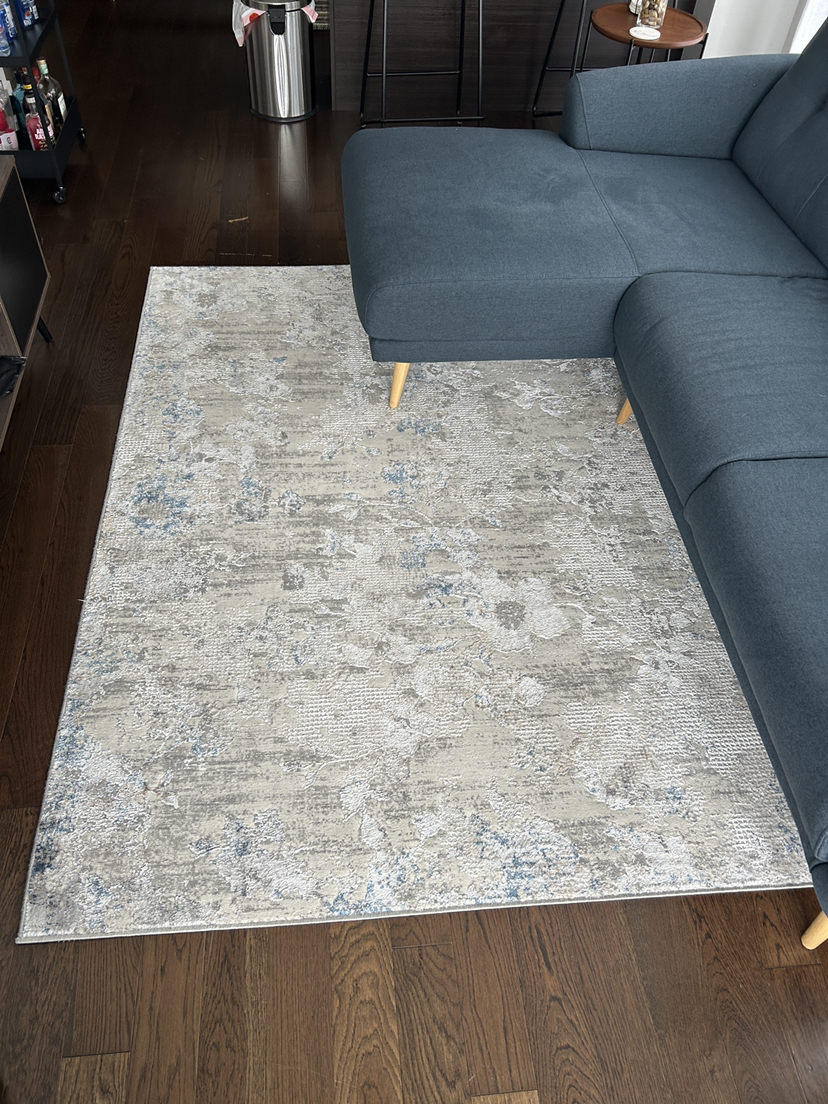 Area Rug (Moving Sale)