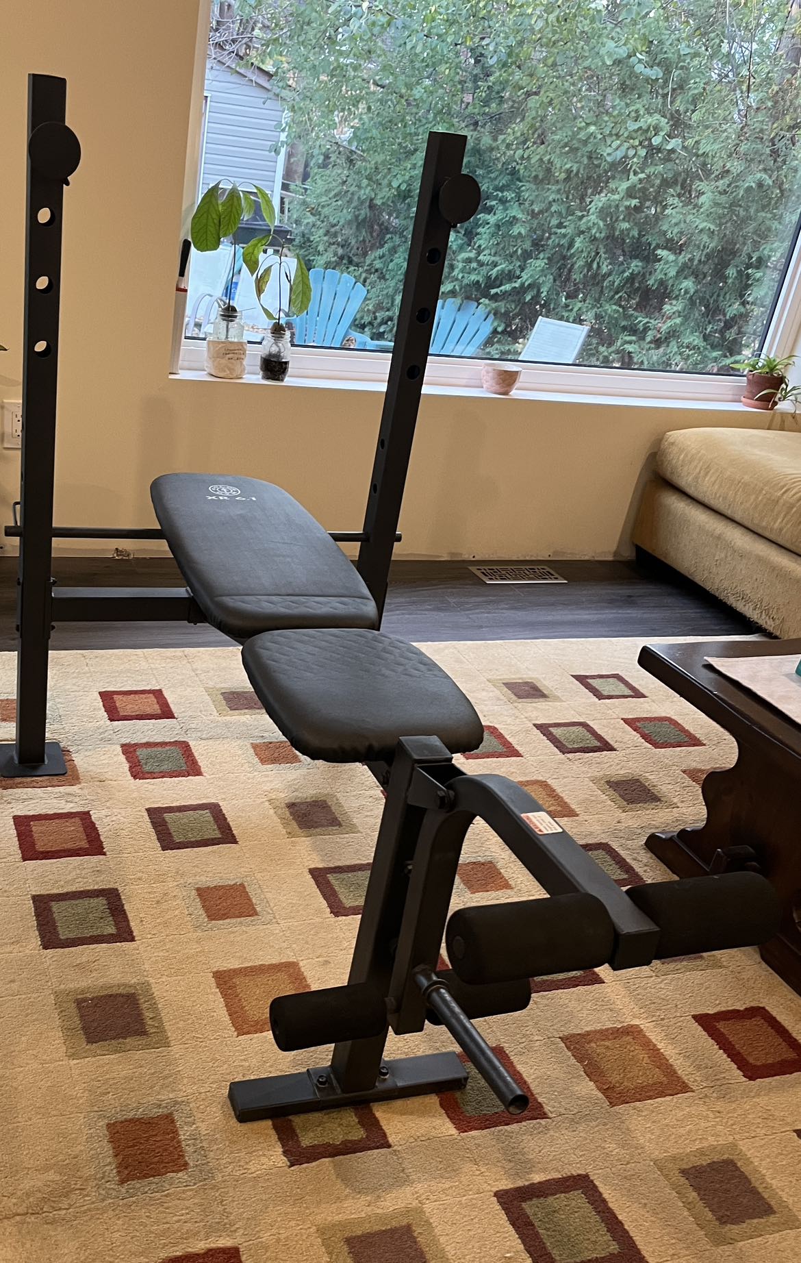 Workout bench - photo 3