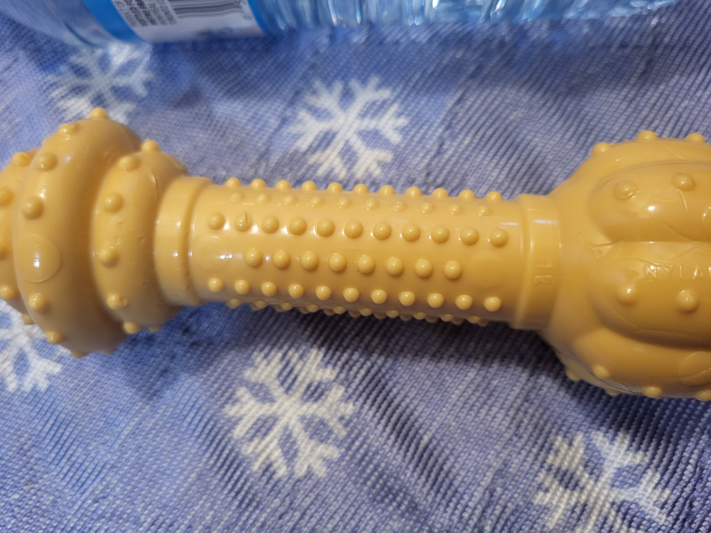 Nylabone Adult Dog Medium Dog Chew image indicator(3)