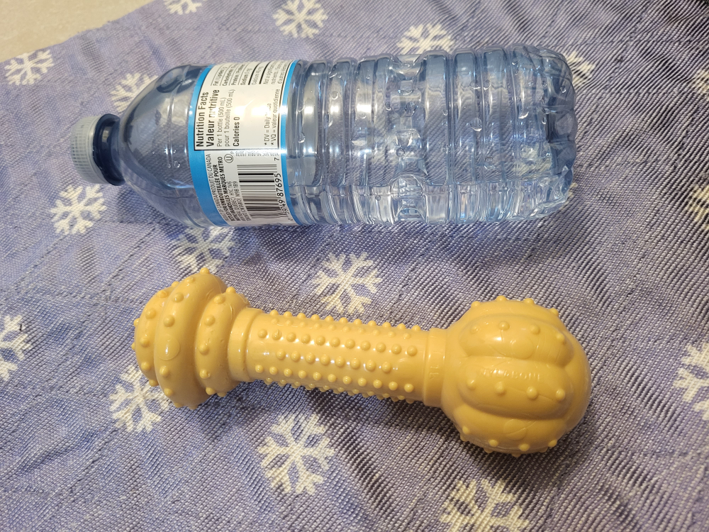 Nylabone Adult Dog Medium Dog Chew image indicator(6)