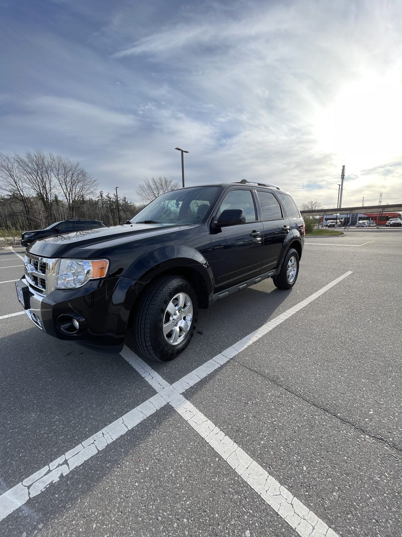2010 Ford Escape Limited 4WD 4drs for sale - photo 3