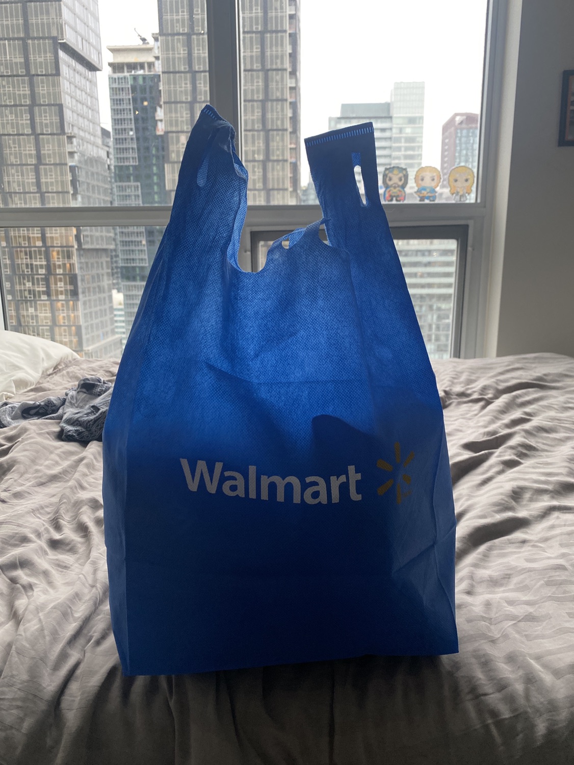 Reusable grocery bags