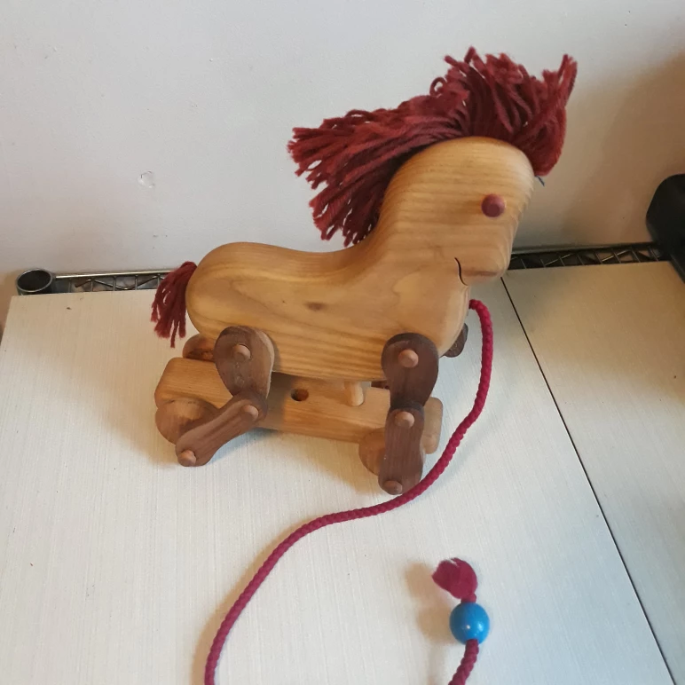 ❄ free... pet horse to a good home - photo 3