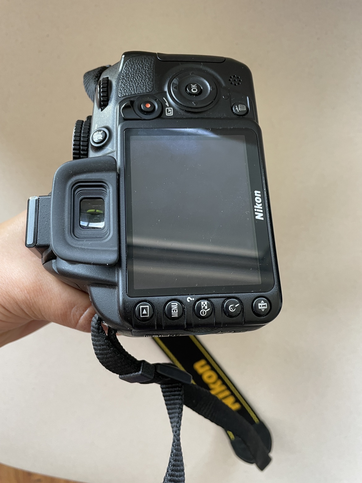 Camera Nikon D3100 image indicator(3)