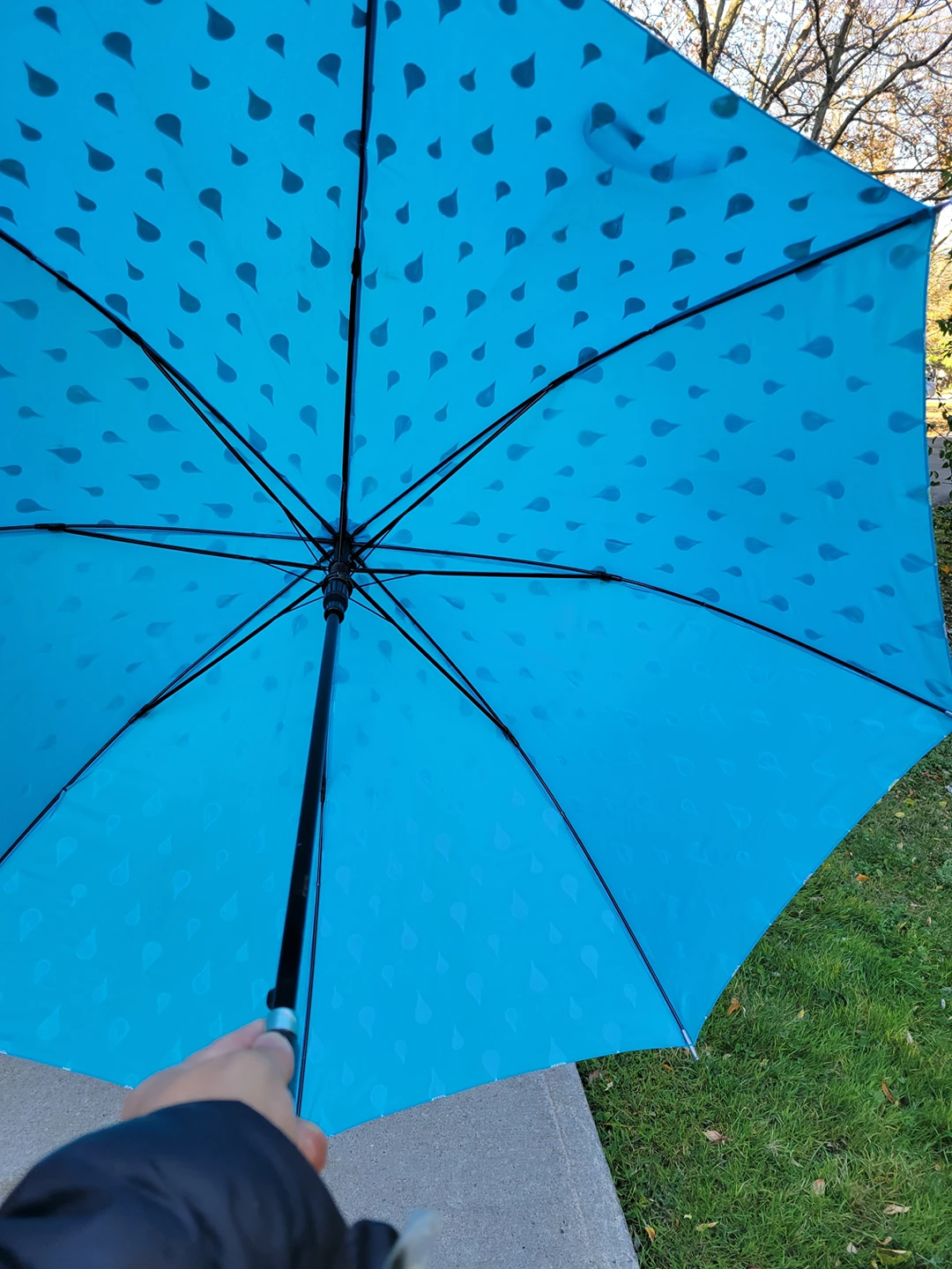 Sky Blue UMBRELLA 🏒 image indicator(3)