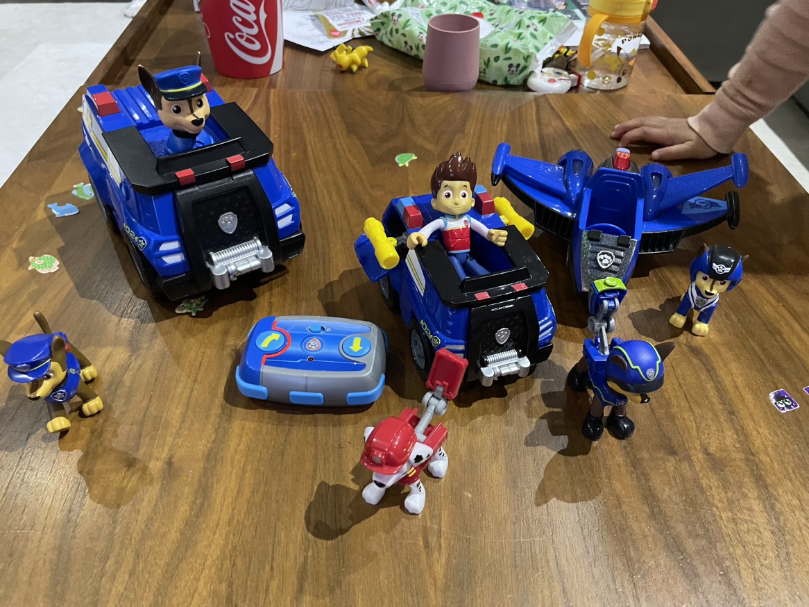 Paw patrol chase toys