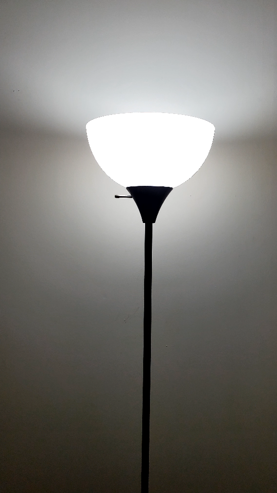 [Used] Mainstays Floor Lamp
