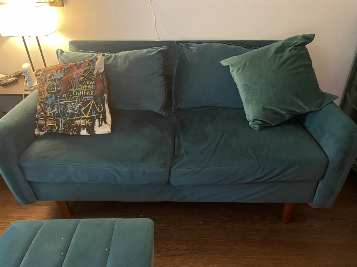 Velvet love seat 56” pick up asap