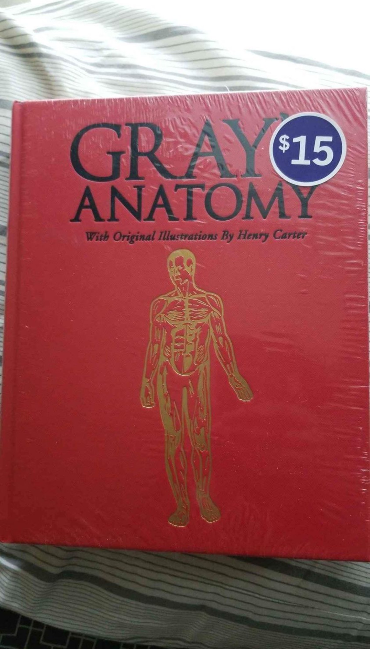 Gray’s Anatomy book grey’s