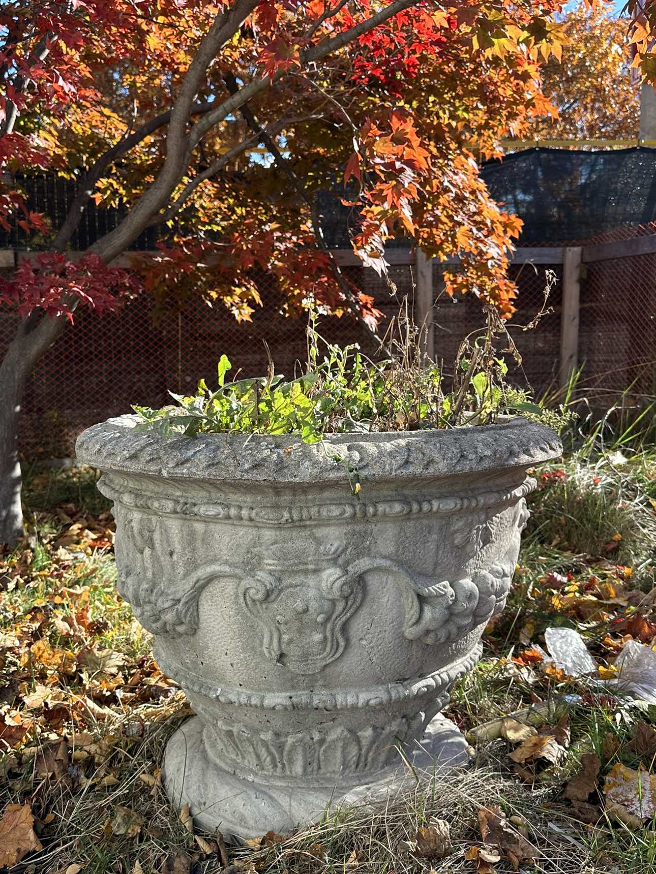 Concrete planter thumbnail