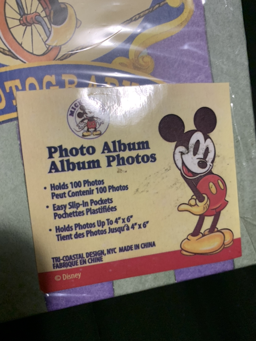 $5 small Minnie Mouse photo album - photo 4