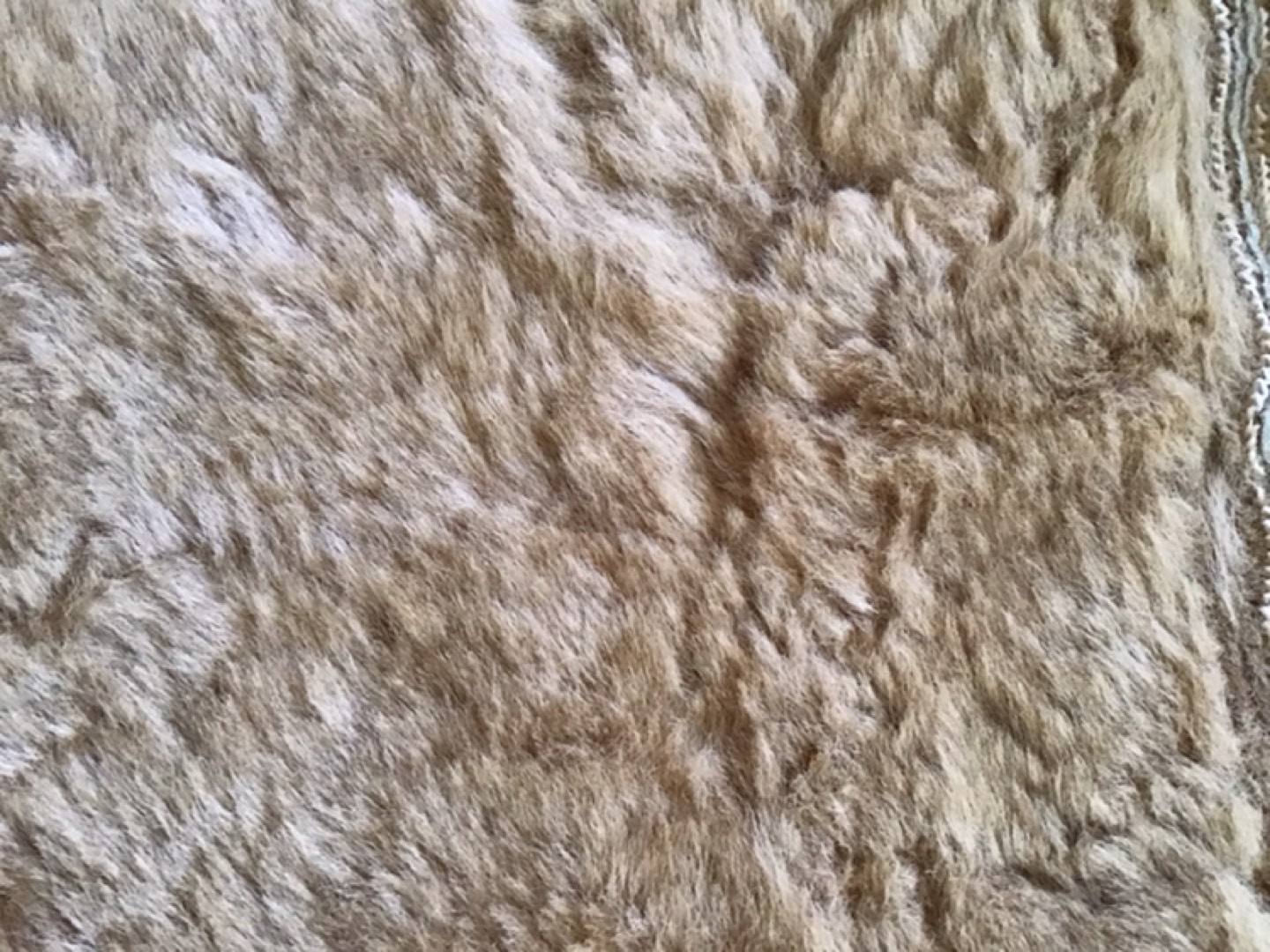 Vintage Guess Suede Leather Jacket image indicator(7)