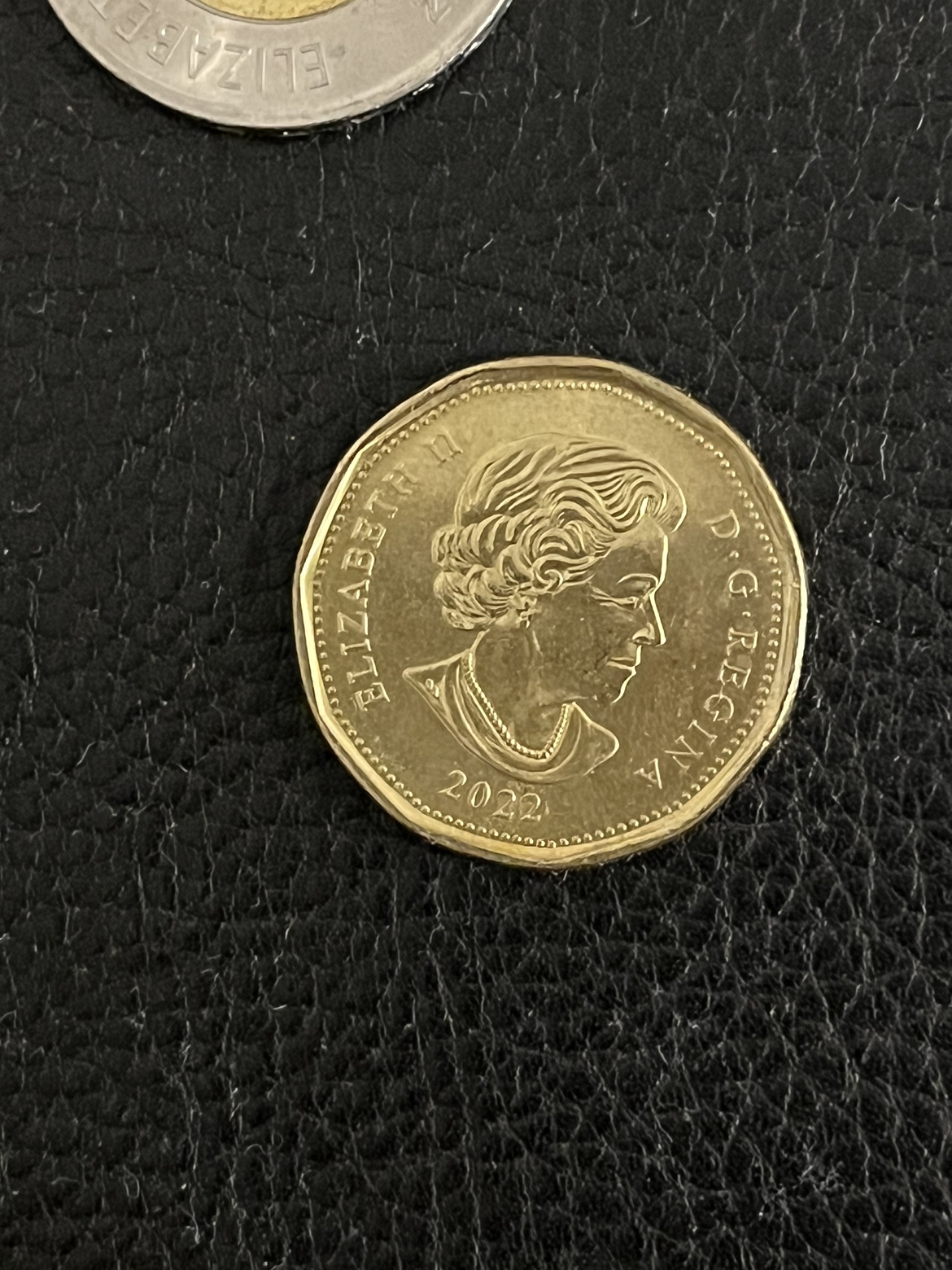 Elise Macgill memorandum collectable loonie image indicator(2)