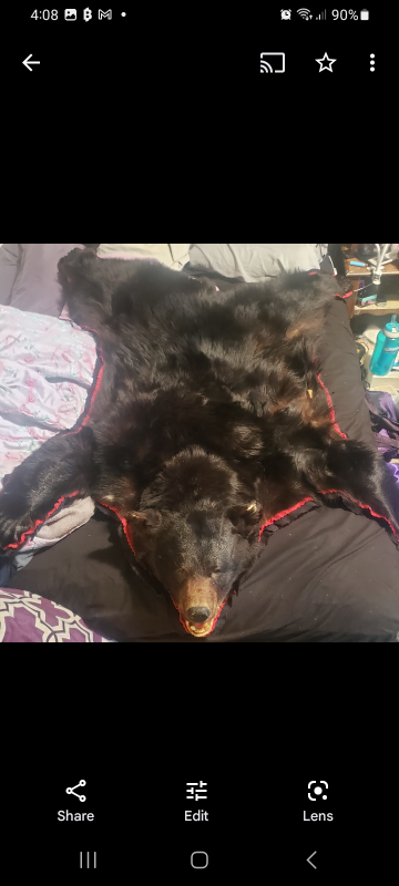 brown bear rug