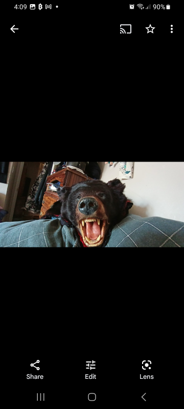brown bear rug - photo 4