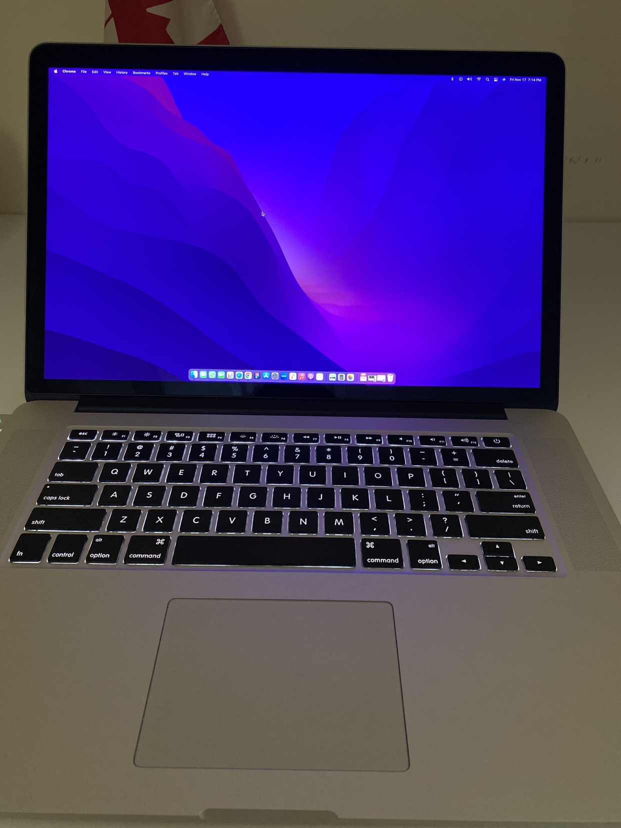MacBook Pro 16GB RAM, 250 SSD (Retina, 15.4-inch, Mid 2015)