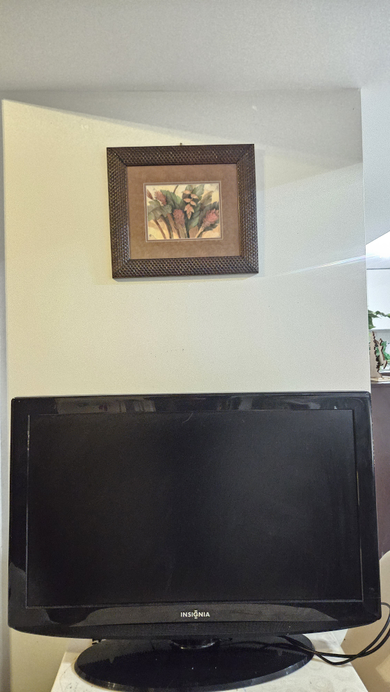 insignia flat screen TV thumbnail