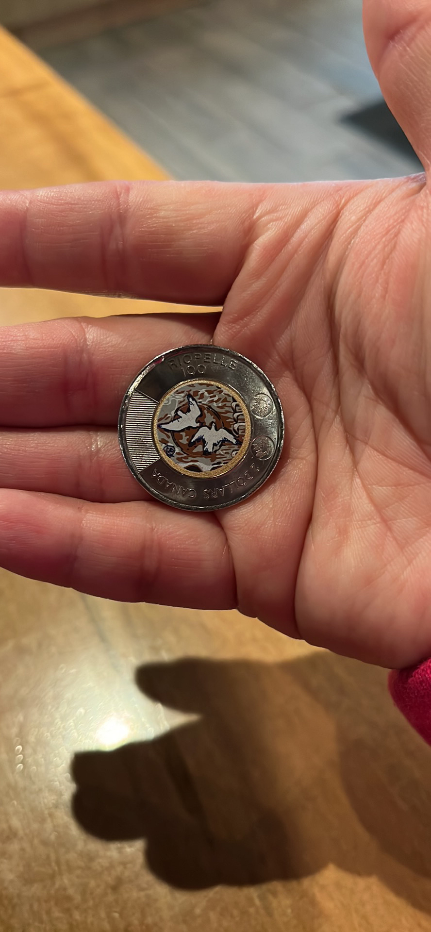 Collectable toonie image indicator(4)