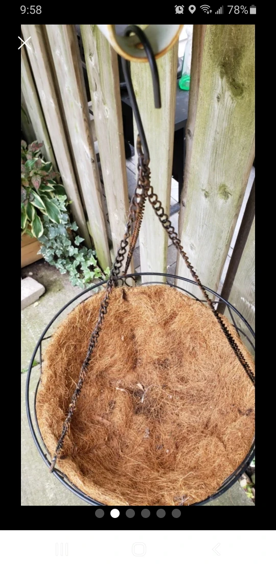 mossy hanging baskets image indicator(2)