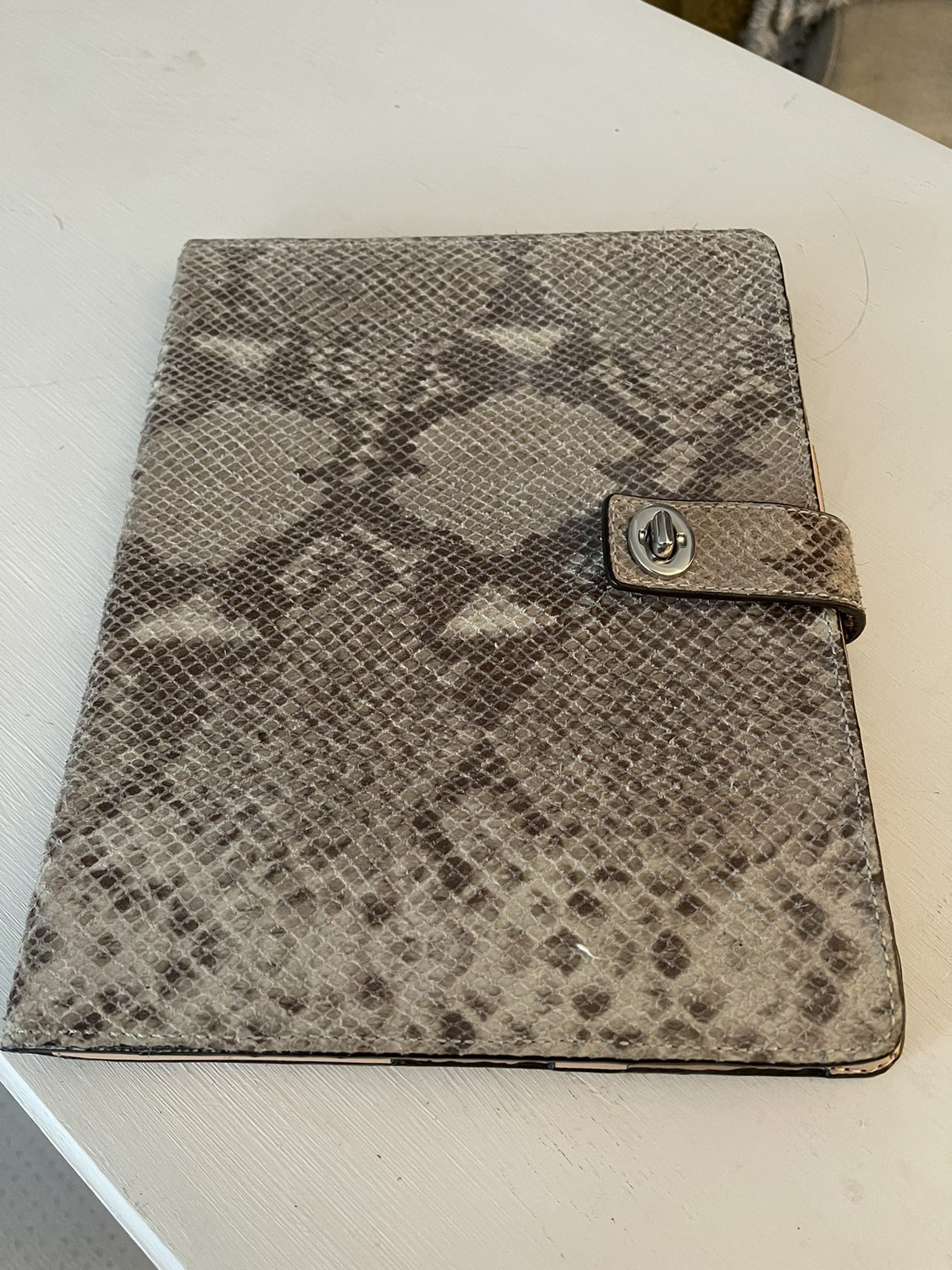 Free iPad Snakeskin case ❄️ thumbnail