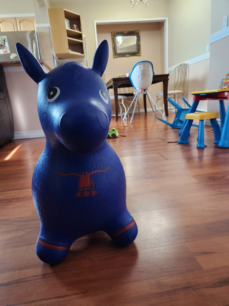 Toddler Hopper (donkey)