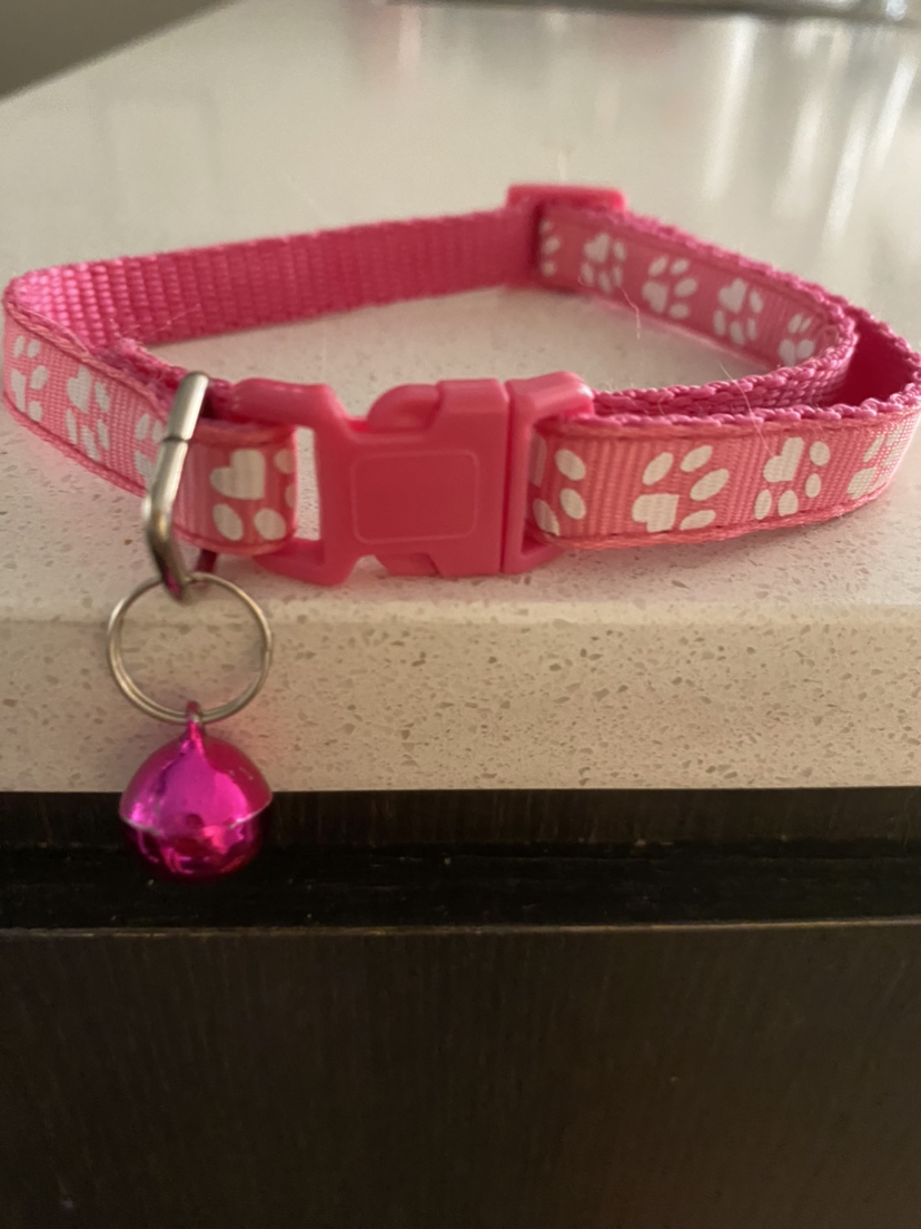 # free cycle image indicator(2)