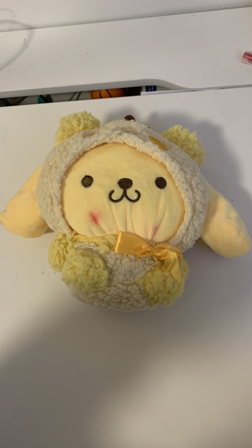Sanrio plushie ❄️
