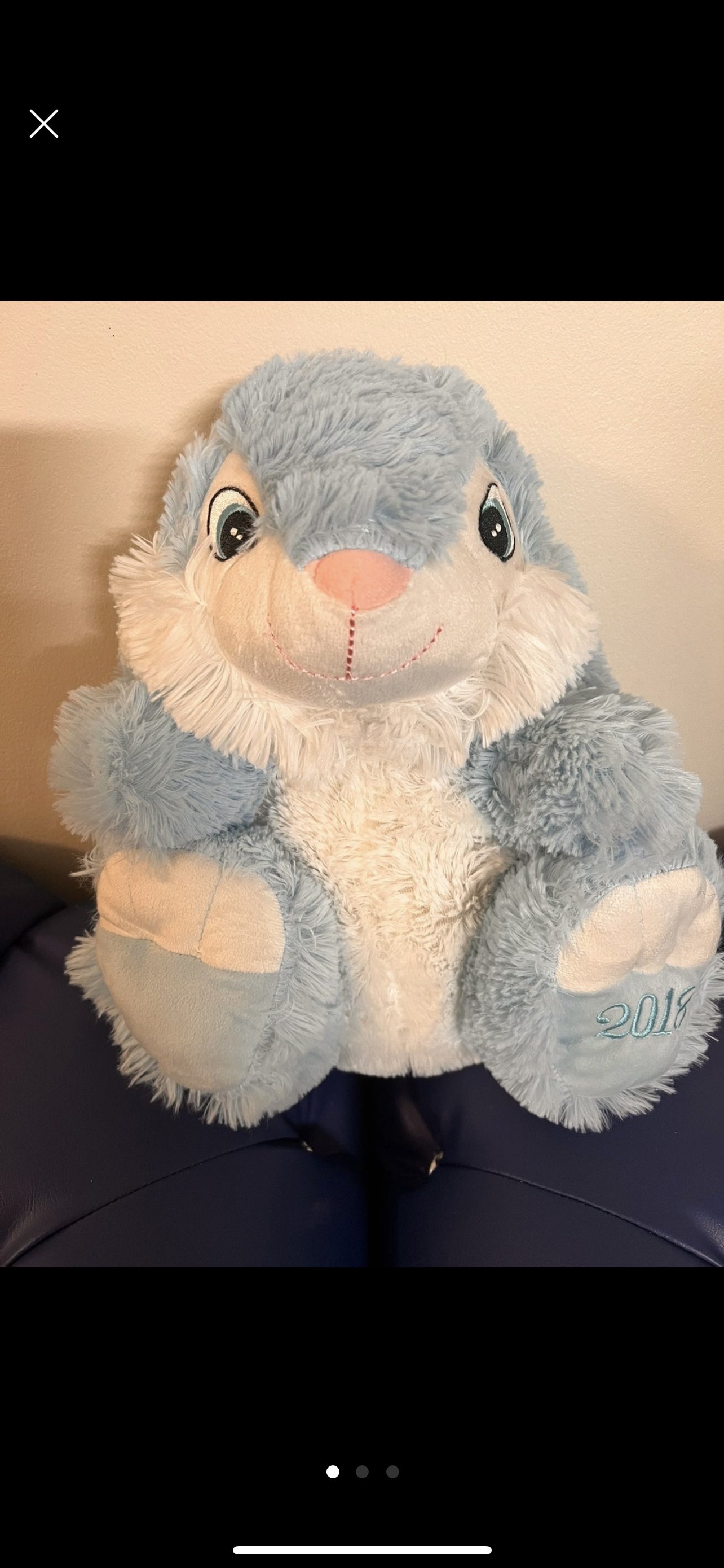 #Freecycle Cute bunny thumbnail
