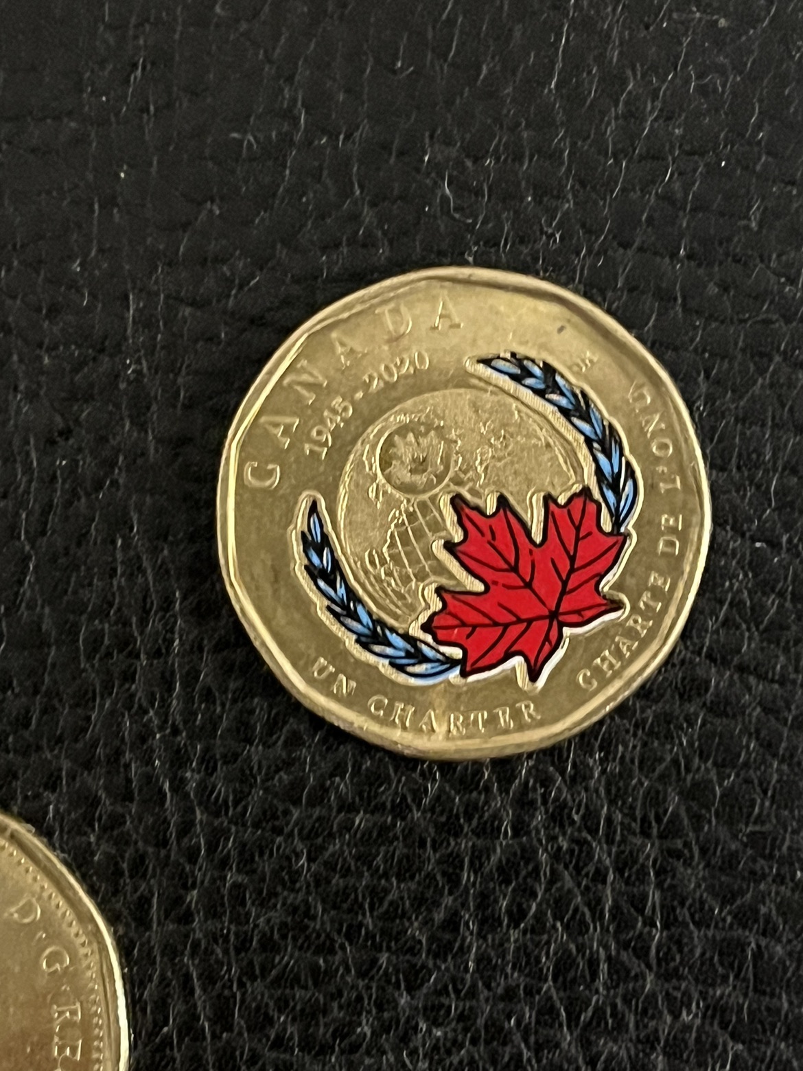 UN Charter Loonie image indicator(2)