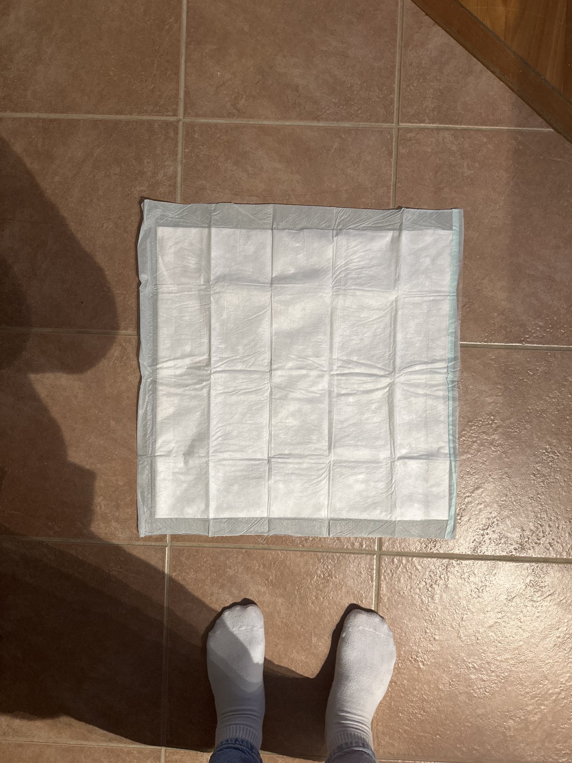 Pet Pee Pads - photo 3