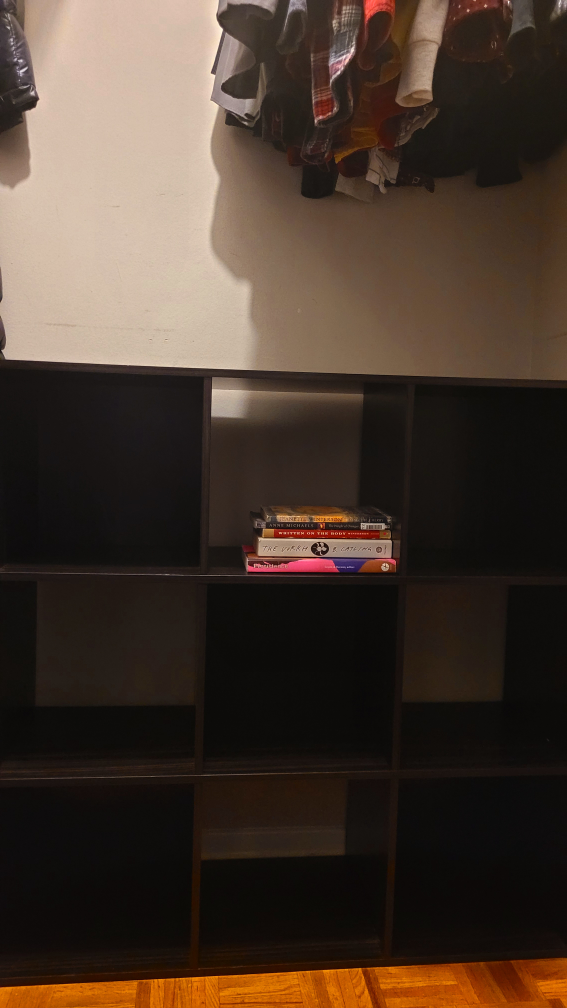 Shelves. MOVING $30 image indicator(2)