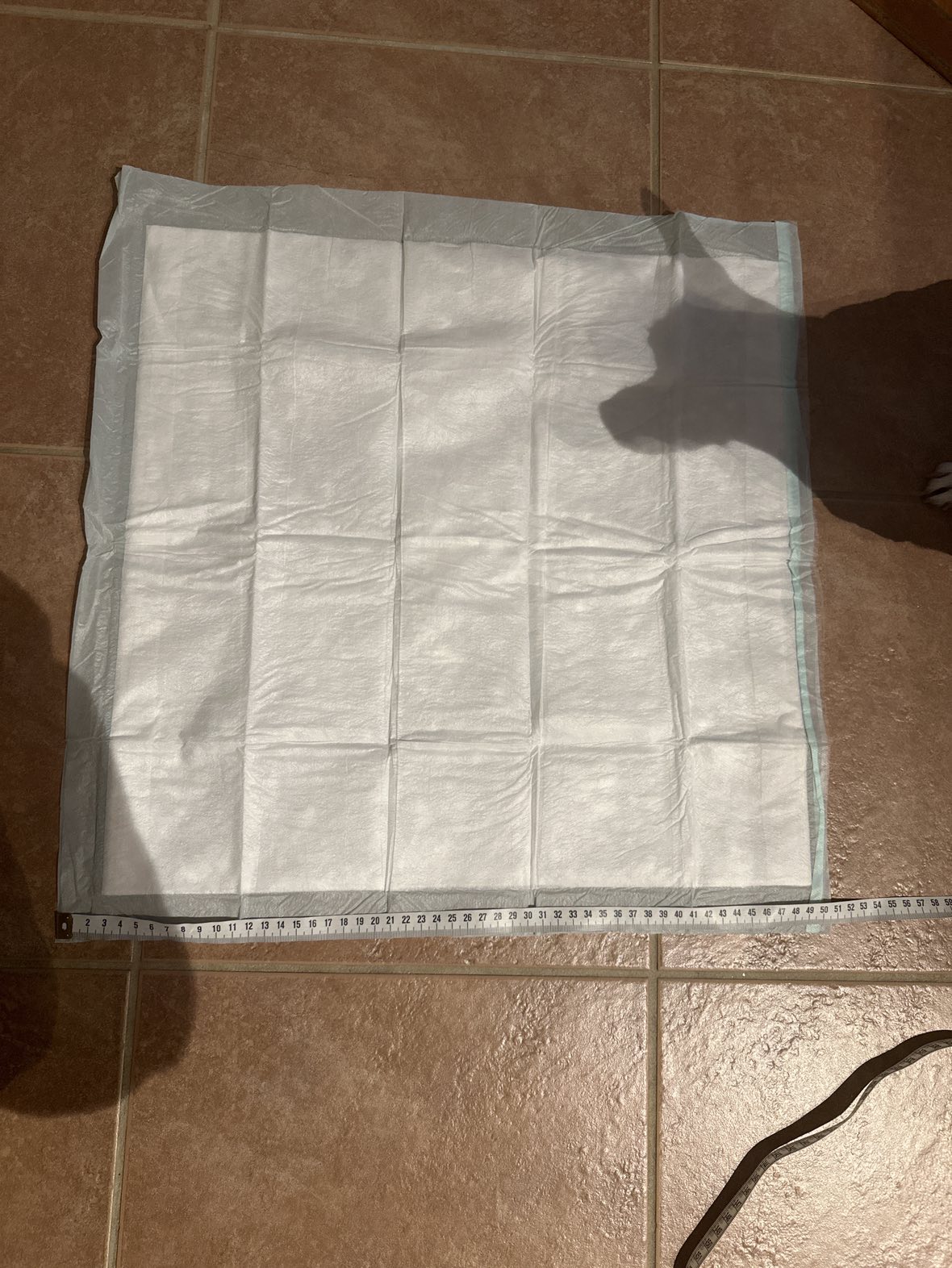 Pet Pee Pads - photo 4