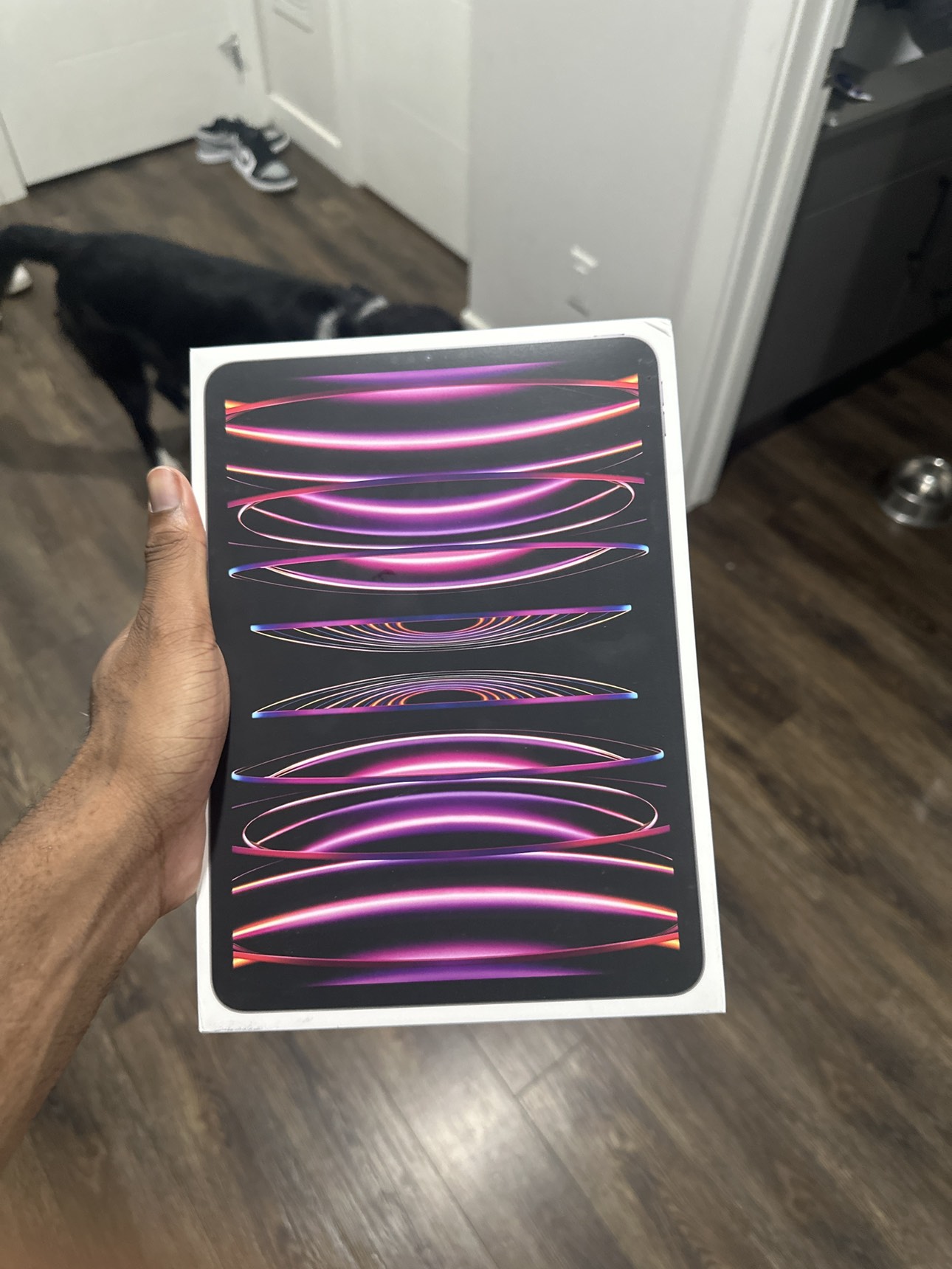iPad Pro 11 inch 4th Gen