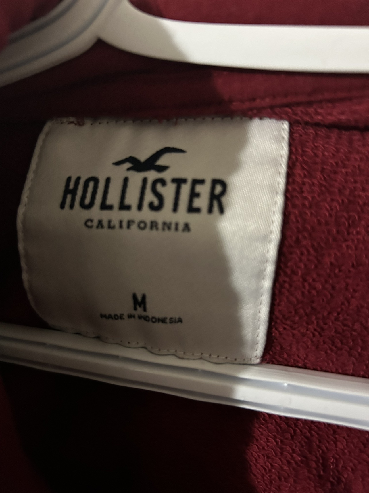 Hollister Hoodie New✨ image indicator(2)