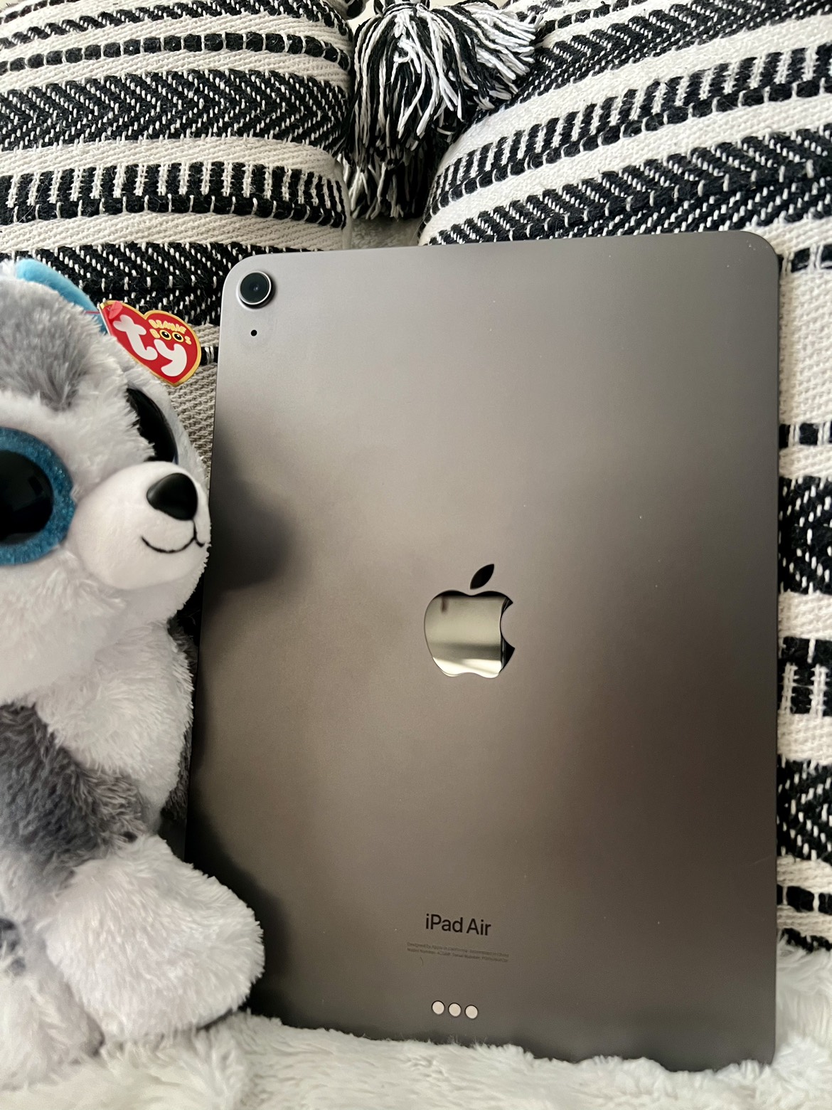 Apple Ipad Air M1 with Apple Pen