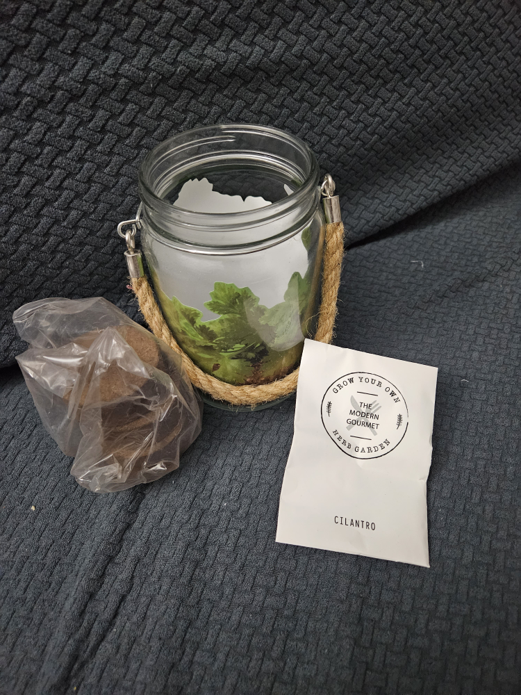 grow your own cilantro ❄️