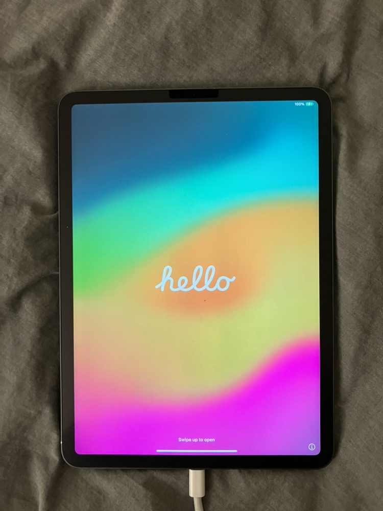 iPad Pro 11” Gen 1 64GB WiFi